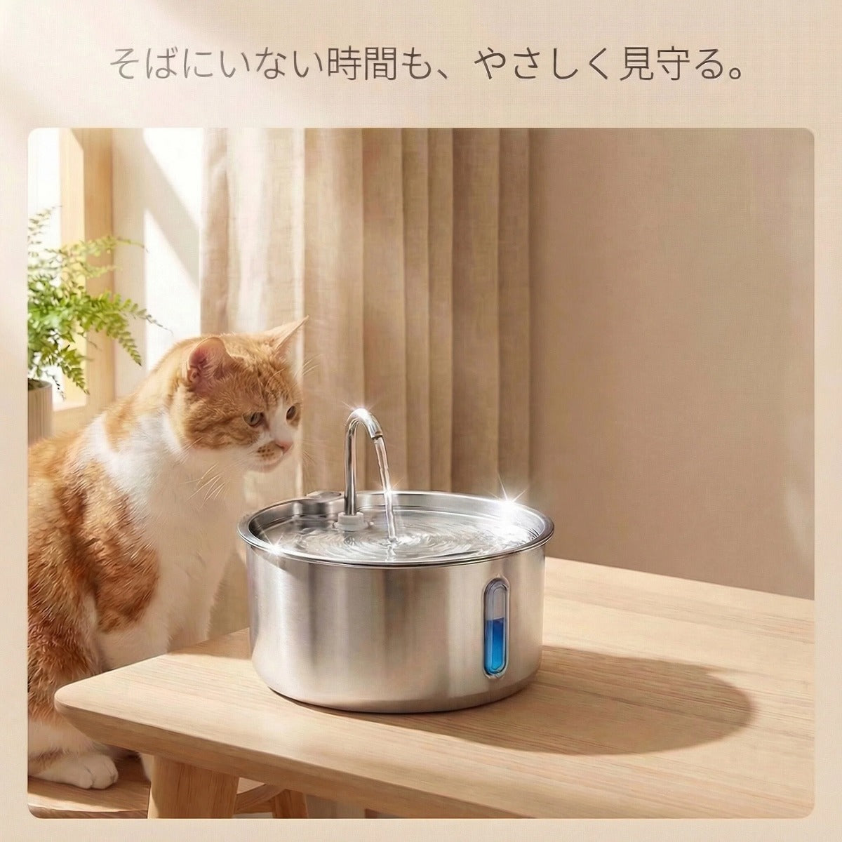 静かに、きれいな水を。ステンレス製ペット給水器（猫・犬兼用／4L）