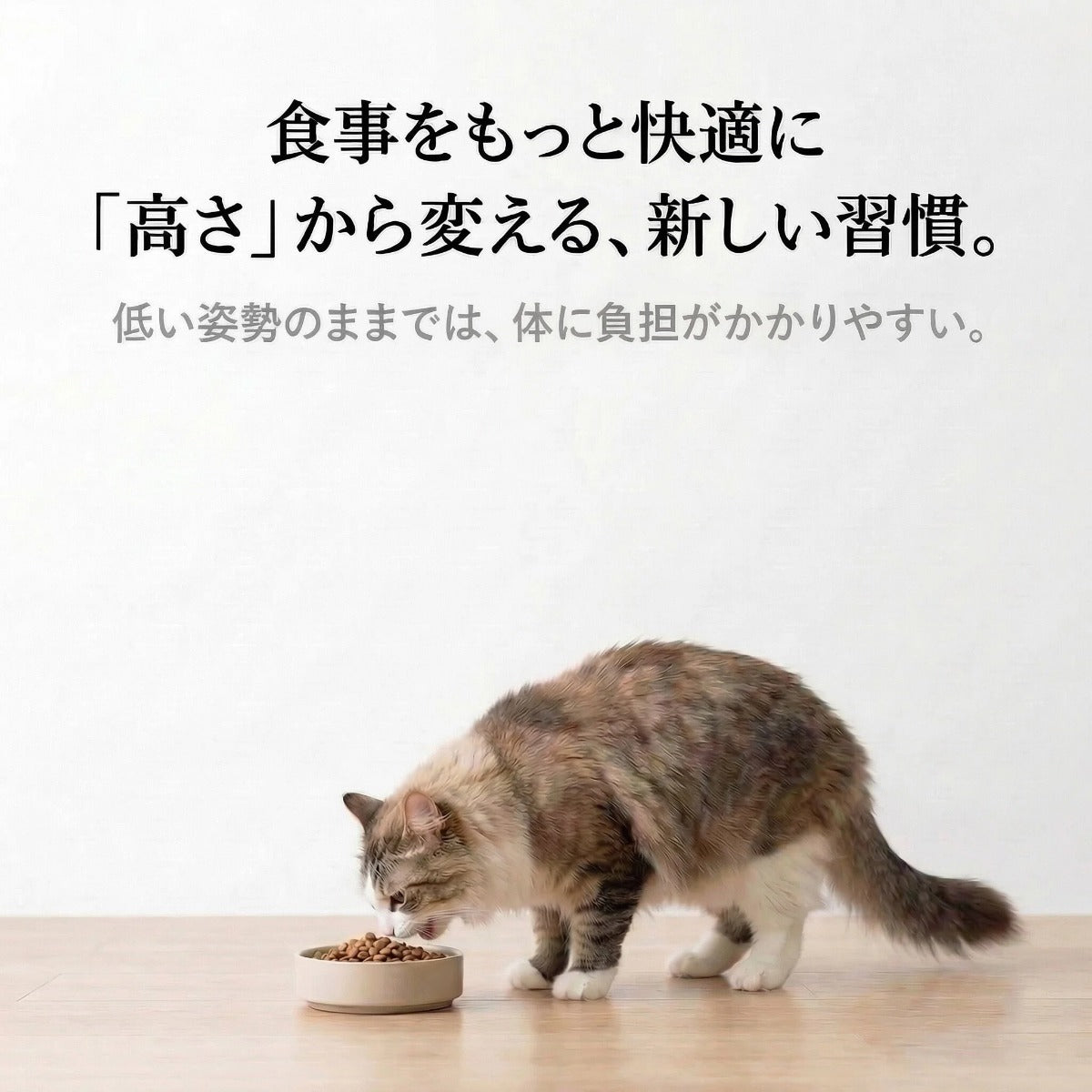 食べる時間を、もっと心地よく。木製ペット用フードスタンド（猫・小型犬対応／3ボウル）