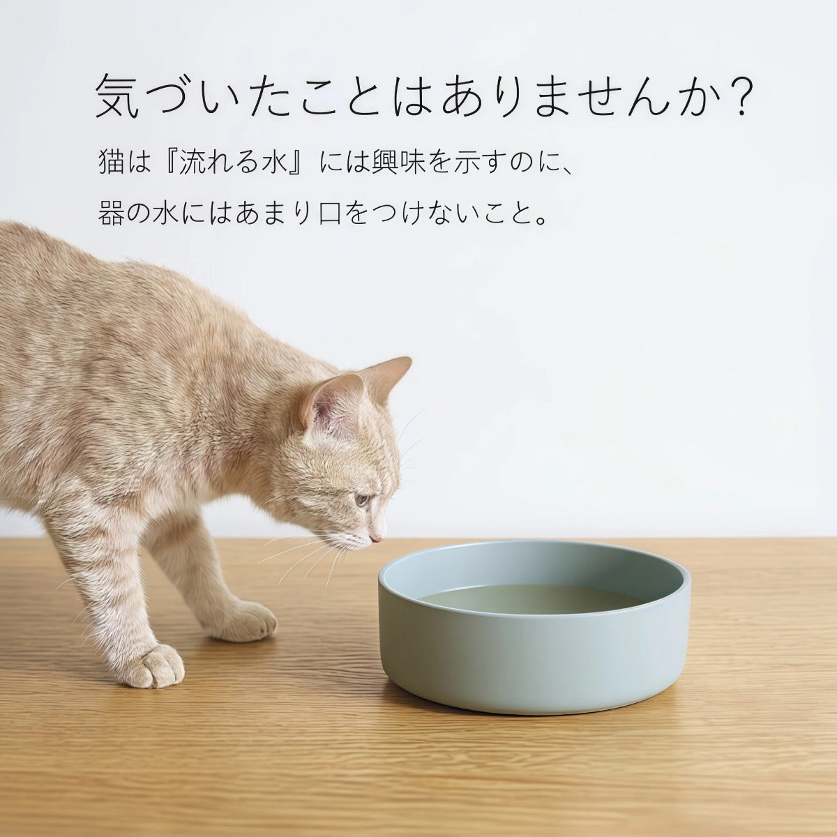 自然な水を、もっと身近に。 静かに流れるスマート給水器