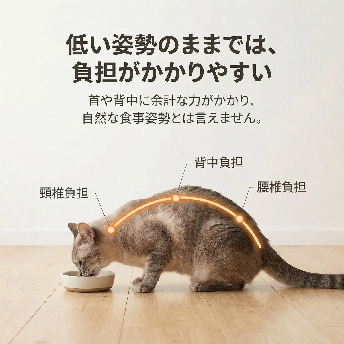 食べる時間を、もっと心地よく。木製ペット用フードスタンド（猫・小型犬対応／3ボウル）