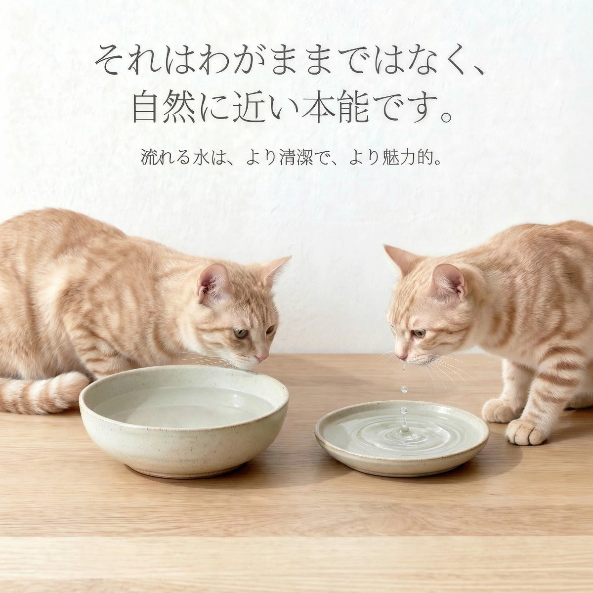 自然な水を、もっと身近に。 静かに流れるスマート給水器