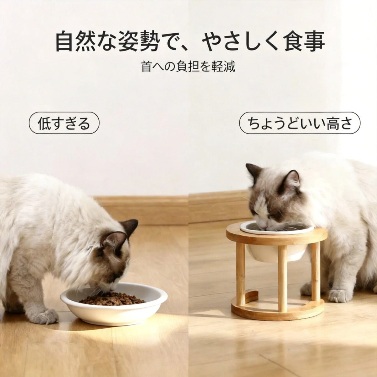 毎日の食事を、やさしく整える。竹製ペット用フードスタンド（猫・小型犬対応）