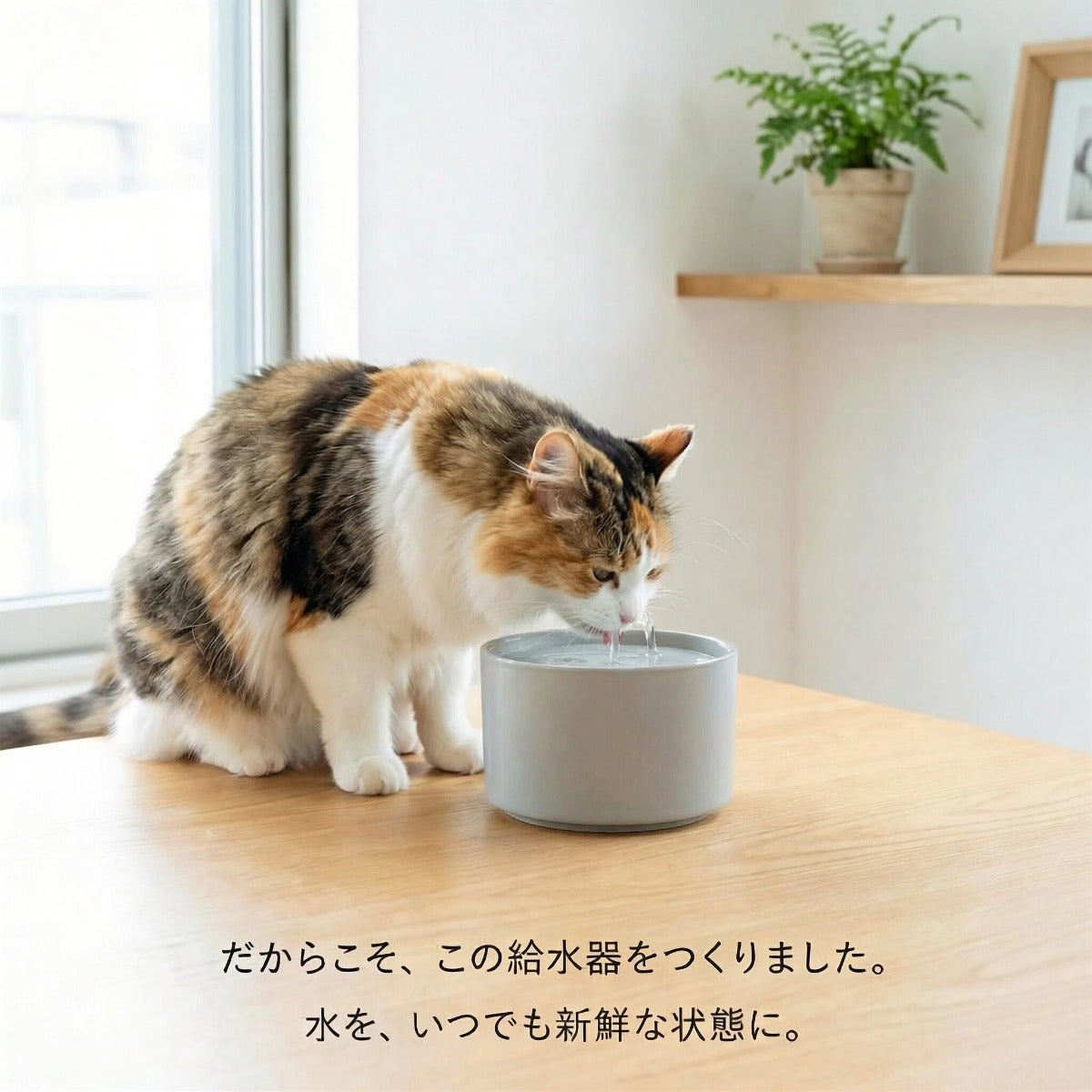 自然な水を、もっと身近に。 静かに流れるスマート給水器