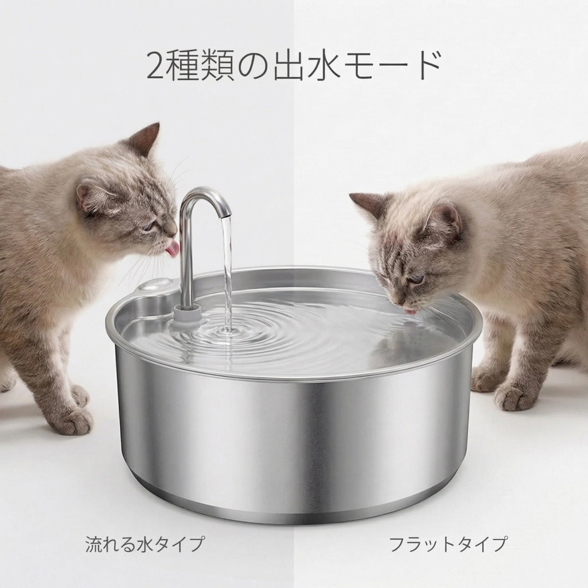静かに、きれいな水を。ステンレス製ペット給水器（猫・犬兼用／4L）